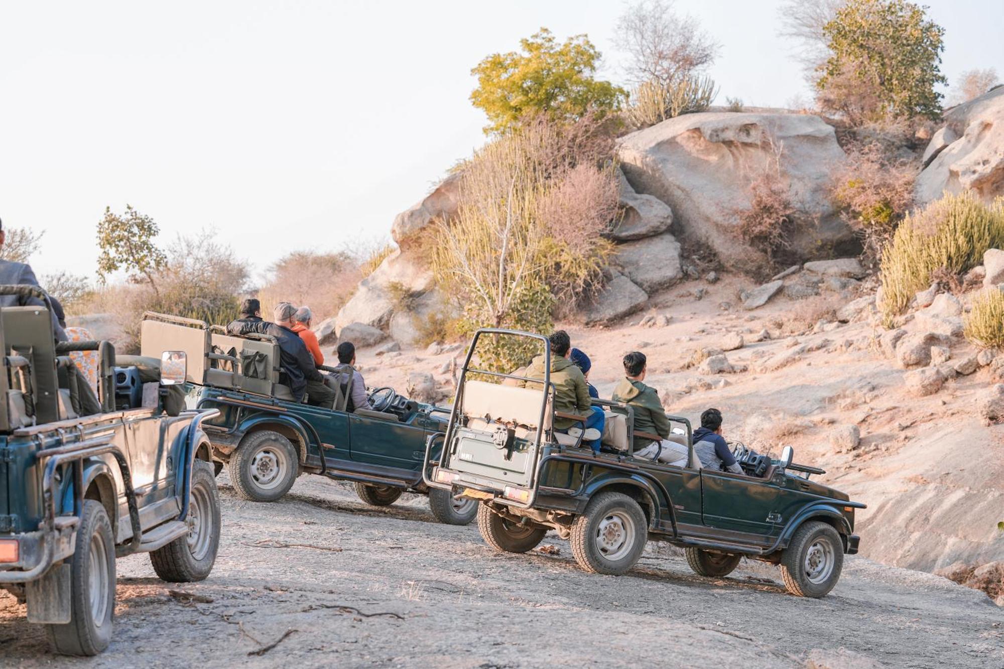 Bed and Breakfast Jawai Wildlife Safari Camp Nana Екстер'єр фото